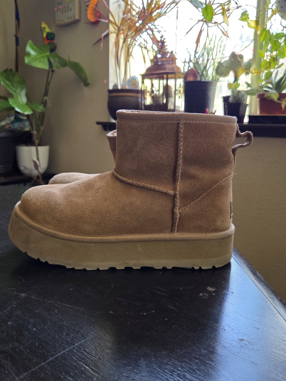 UGG  Chestnut Suede Classic Short Boot